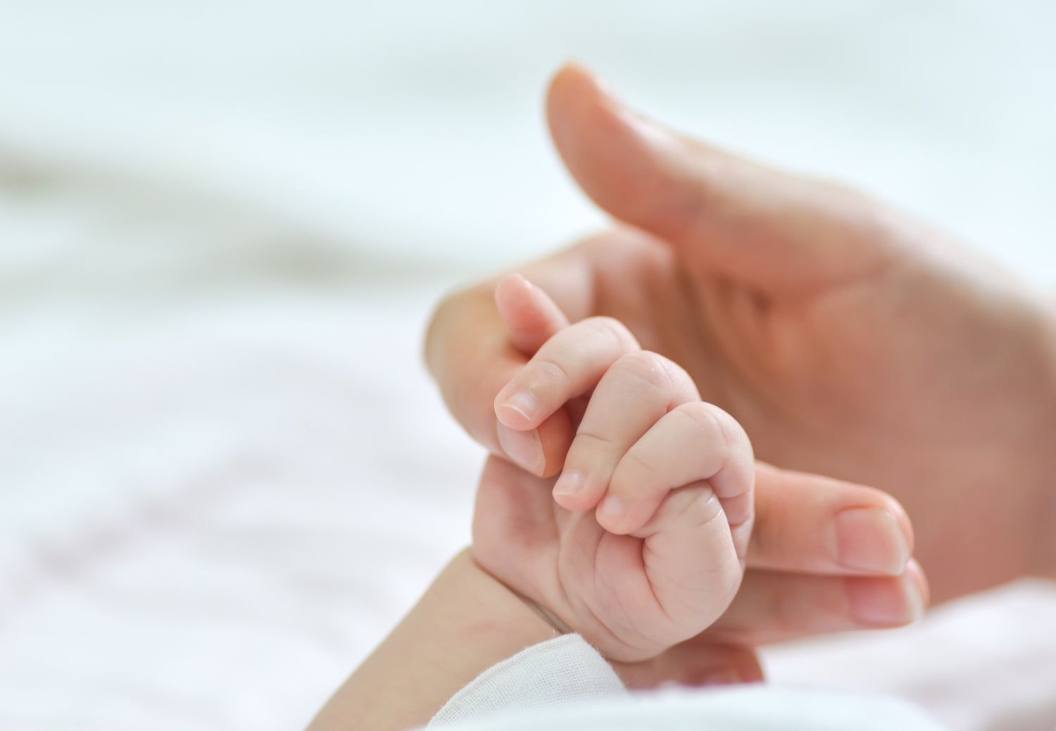 fetalADN: Para tu fertilidad