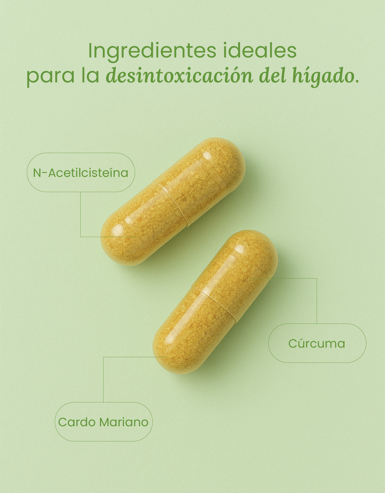 Detox Support con Cúrcuma, Cardo Mariano y Vitaminas C y E – Detox Avanzado