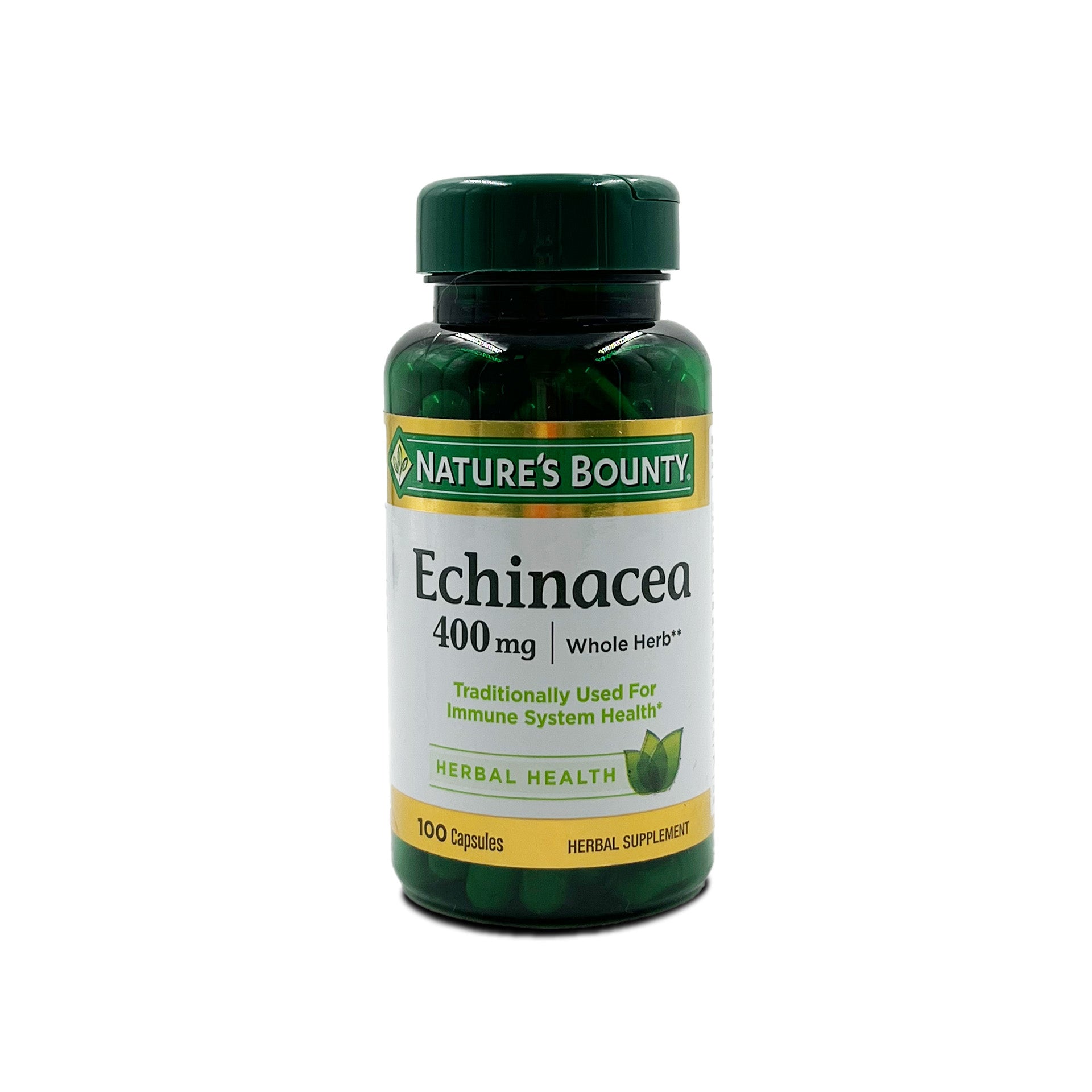 Echinacea