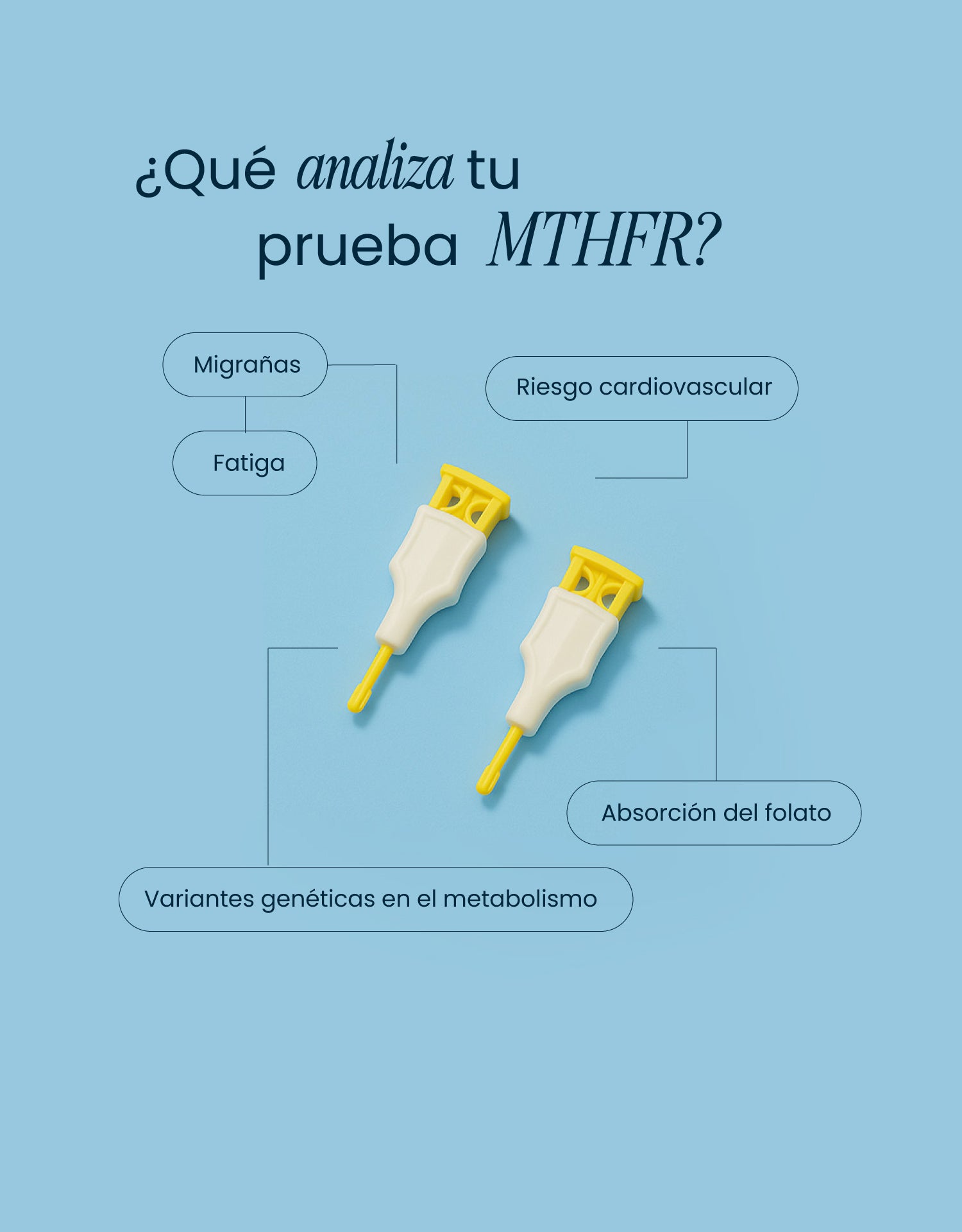 MTHFR