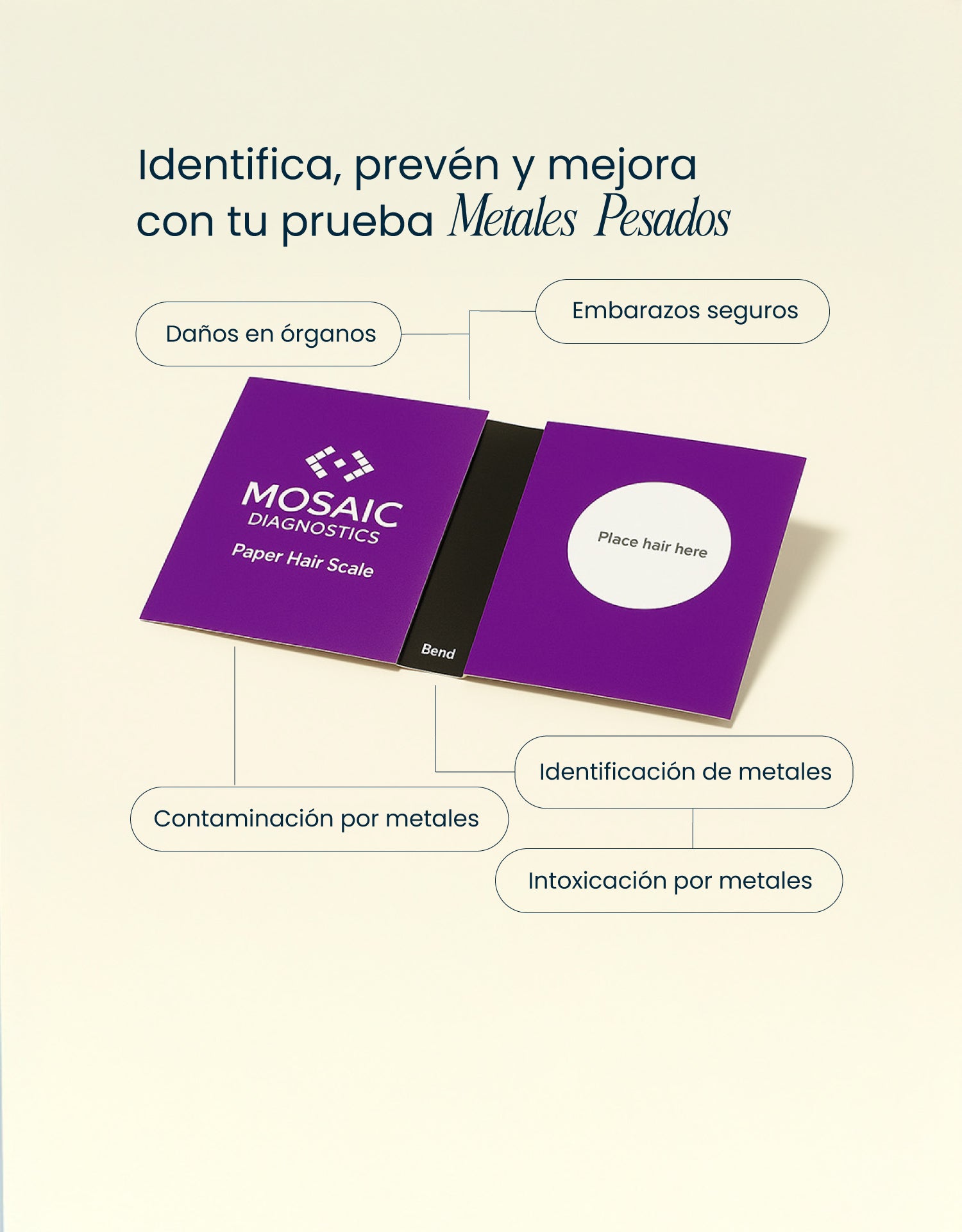 Metales Pesados