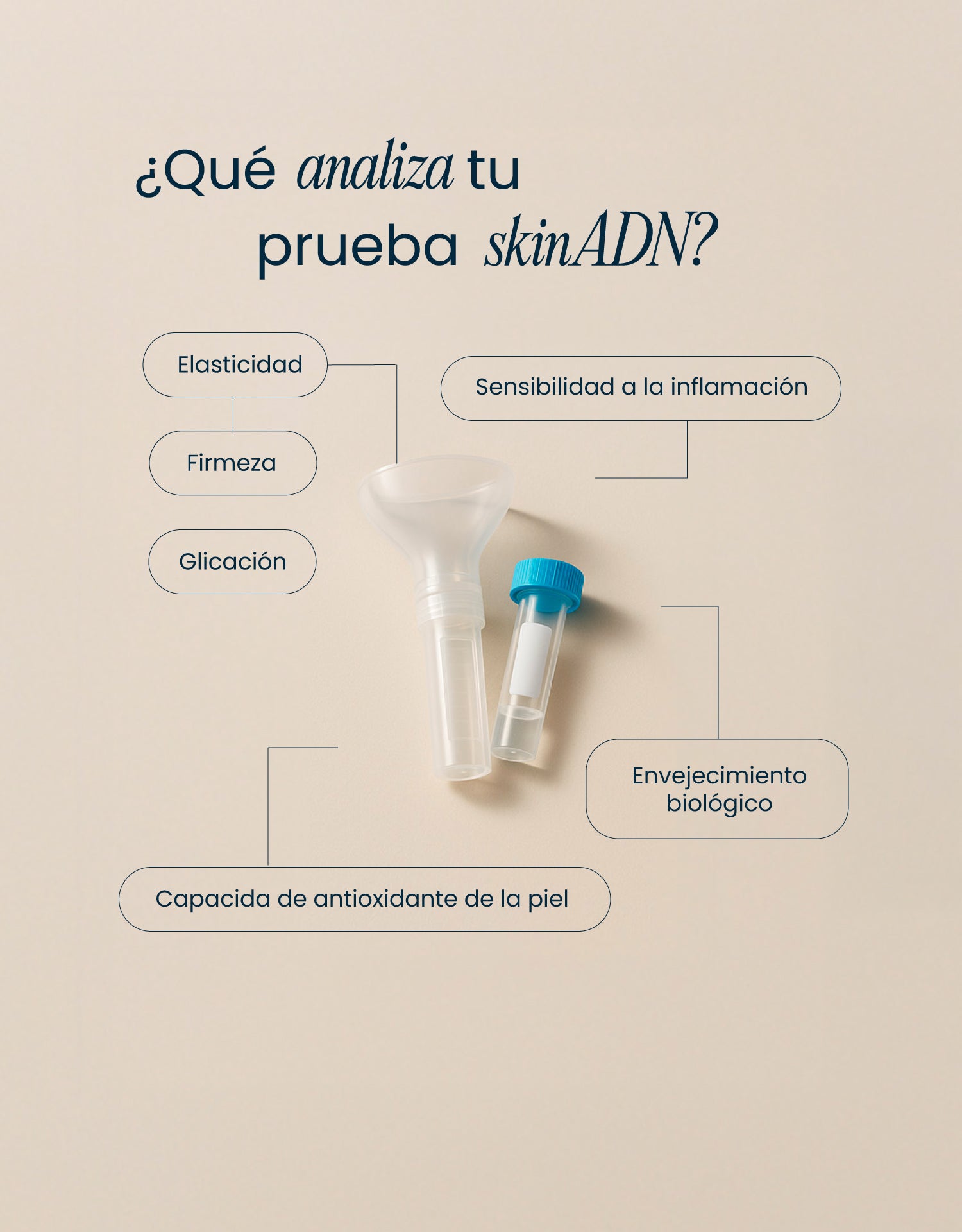 SkinADN