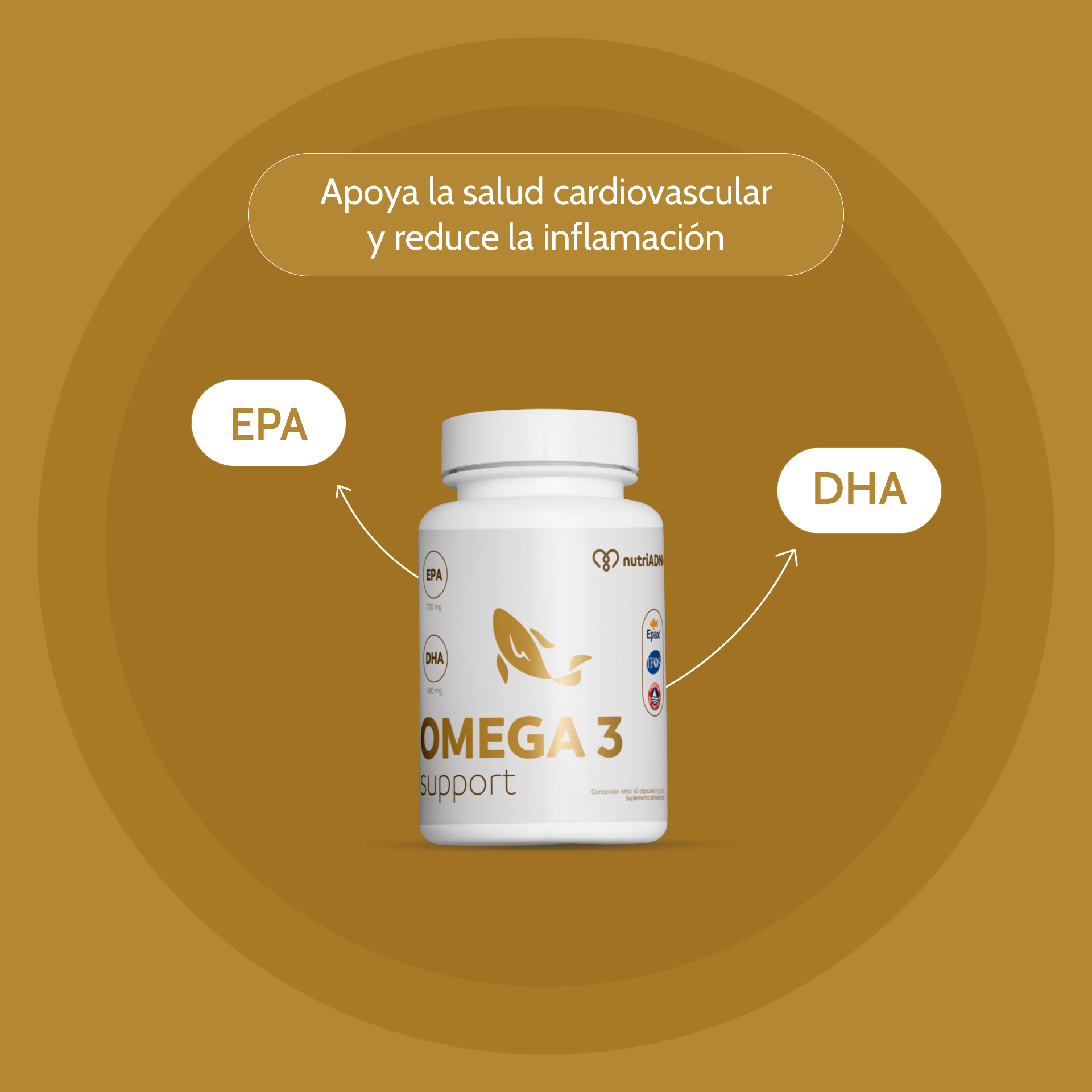 Omega 3 Support