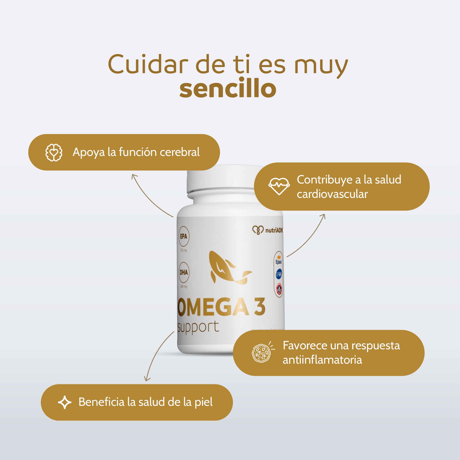 Omega 3 Support