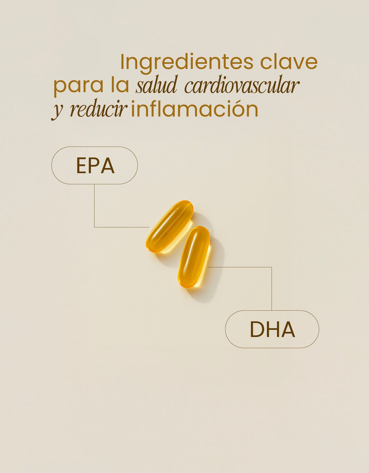 Omega 3 Support