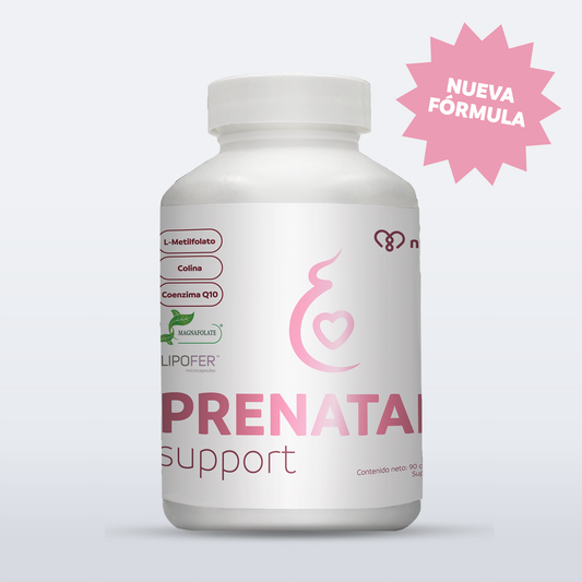 Prenatal Support