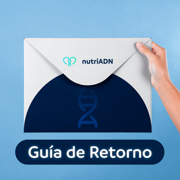 Guía de Retorno Prueba